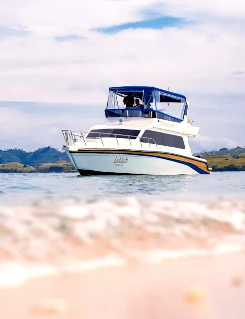 Visit Bajo-Fast Baot